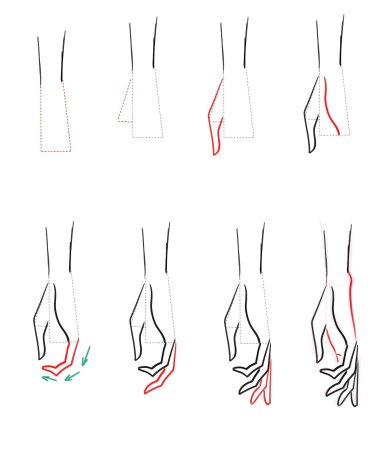 Поэтапный рисунок ладони