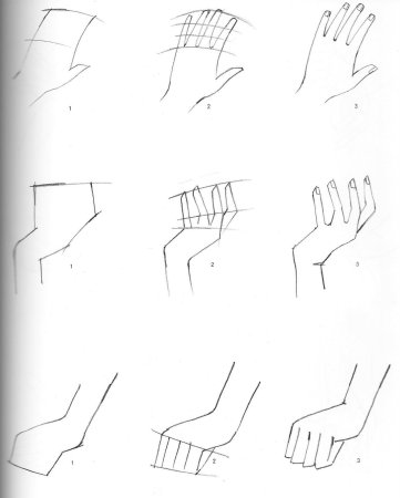 Поэтапное рисование кисти