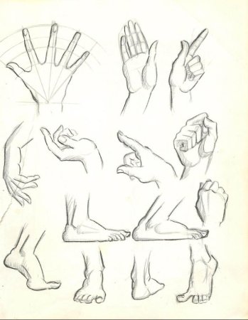 Рука рисунок