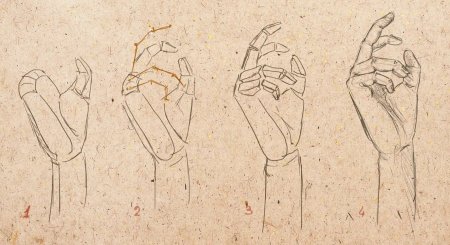 Согнутые ладони рисунок