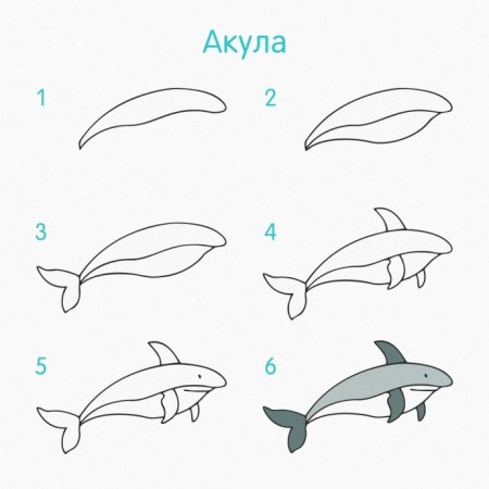 Поэтапное рисование морских животных