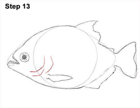 Пиранья рисунок карандашом