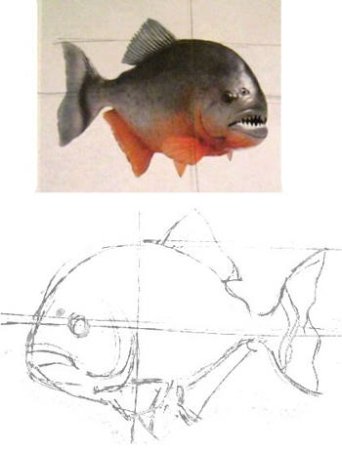 Поэтапное рисование Пиранья