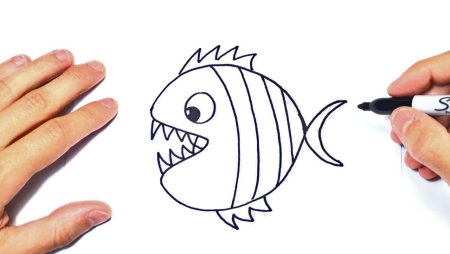 Нарисовать пиранью карандашом поэтапно