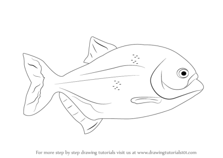 Контурный рисунок Пиранья