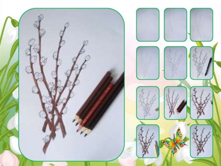 Поэтапное рисование вербы