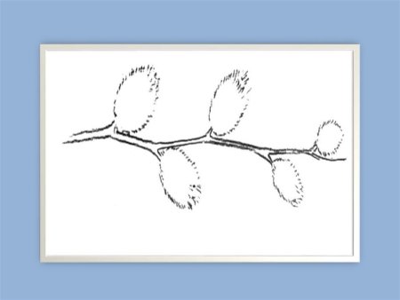 Рисование ветка вербы