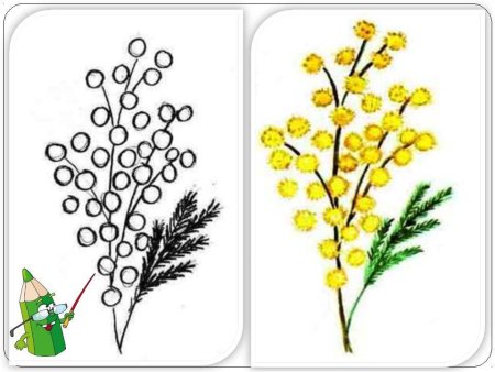 Веточки вербы в вазе карандашом