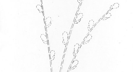 Веточка вербы рисунок