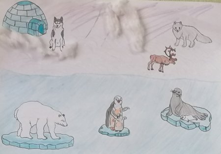 Рисование белый медведь и Северное сияние