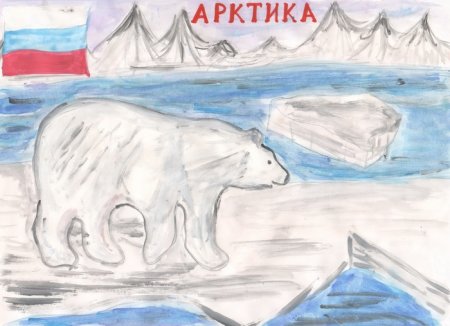 Рисунок Арктики фломастерами