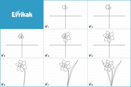 Рисунок незабудки карандашом пошагово