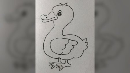 Поэтапное рисование гадкого утёнка