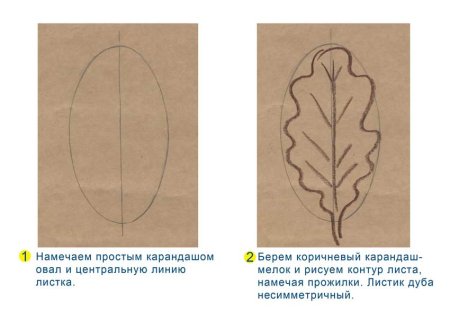 Дубовый лист поэтапное рисование