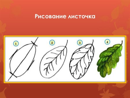 Урок рисования листья деревьев