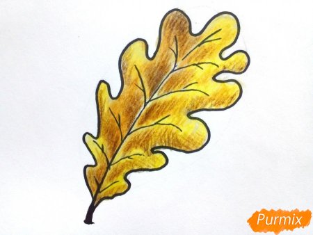 Рисование Дубового листа