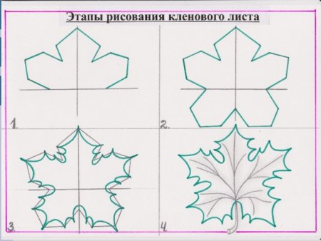 Лист дуба чертеж