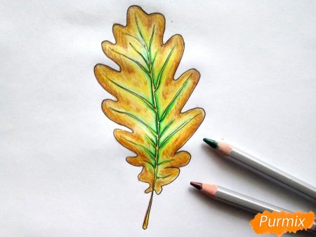 Листья для срисовки