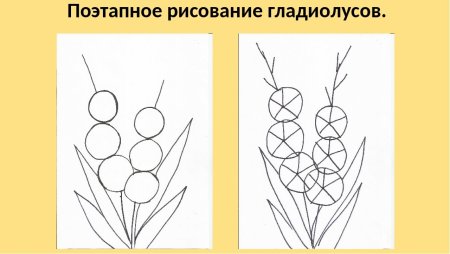 Схема рисования человека в подготовительной группе