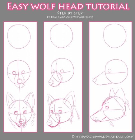 Пошаговое рисование волка