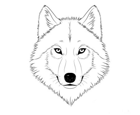 Пошаговая инструкция рисования голова волка