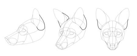 Поэтапное рисование морды волка