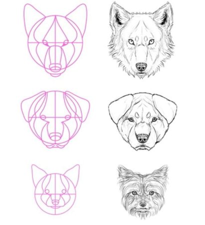 Построение головы волка