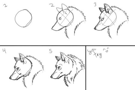 Оскал волка поэтапно