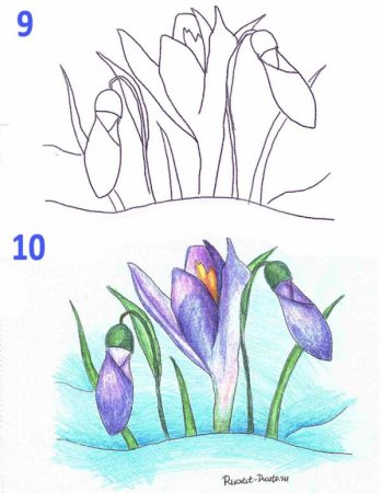 Рисование весенних цветов