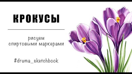 Крокусы рисунок маркерами