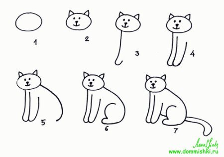 Поэтапное рисование кошки для детей