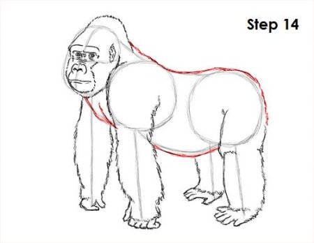 Рисуем гориллу с детьми