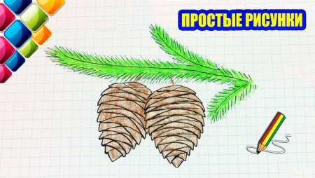 Поэтапное рисование елочки