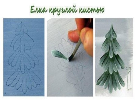 Ель обыкновенная хвоинки рисунок