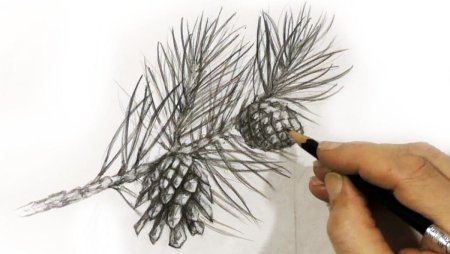 Ель цветными карандашами