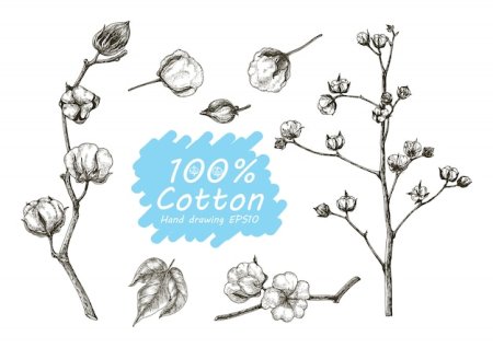 Идеи для рисунков хлопок