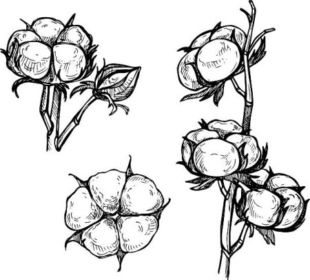 Хлопок рисунок