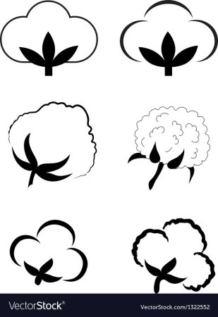 Раскраска хлопок растение