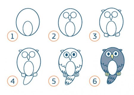 Поэтапное рисование Совы для детей
