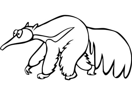 Муравьед рисунок