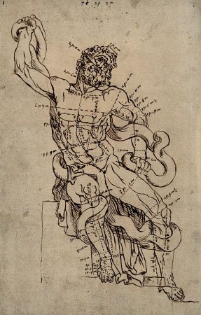 Гипсовая голова Лаокоона построение