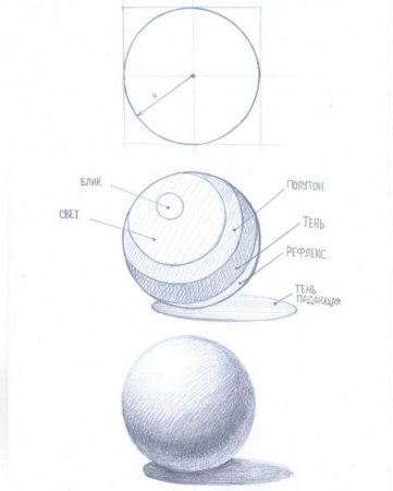 Тень полутень рефлекс штриховка