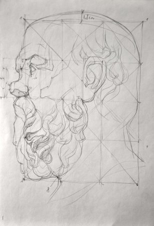 Лаокоон Академический рисунок