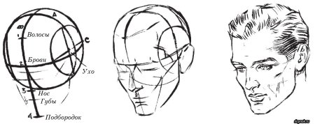 Построение лица сбоку
