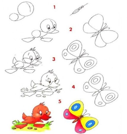 Учимся рисовать бабочку поэтапно