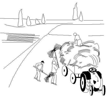 Сенокос рисунок