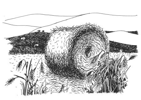 Сено Графика