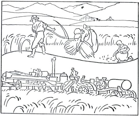 Раскраска поле