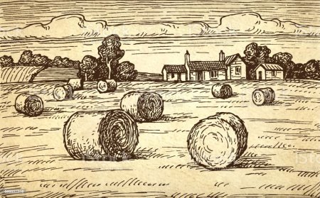 Тюк рисунок