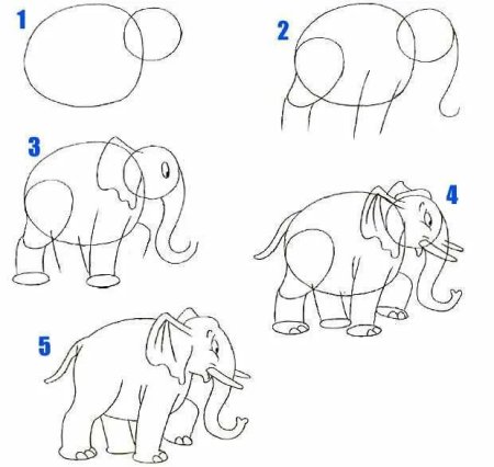 Поэтапное рисование ворона